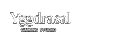 Yggdrasil Gaming Logo - Innovative Spielautomaten bei Yep Casino